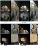 A Lightweight Polarization-Guided Plug-In for Underwater Image Enhancement (TCSVT 2025)